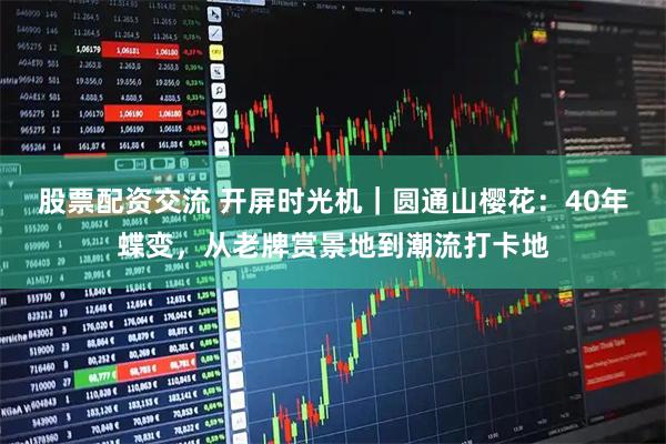 股票配资交流 开屏时光机｜圆通山樱花：40年蝶变，从老牌赏景地到潮流打卡地