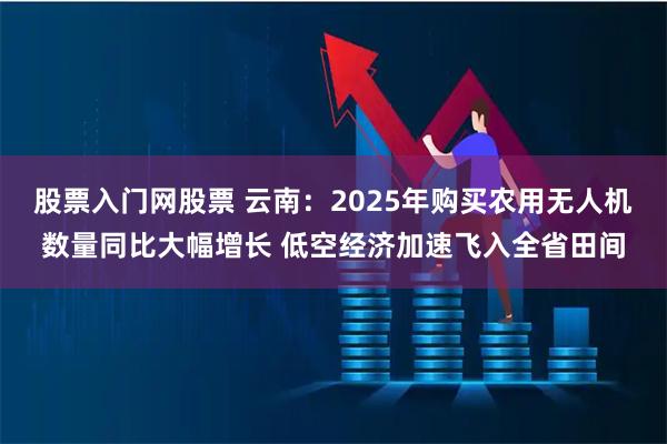 股票入门网股票 云南：2025年购买农用无人机数量同比大幅增长 低空经济加速飞入全省田间