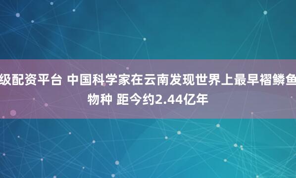 顶级配资平台 中国科学家在云南发现世界上最早褶鳞鱼新物种 距今约2.44亿年